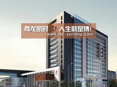 案例展示七(图1)
