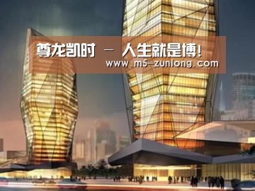 案例展示三