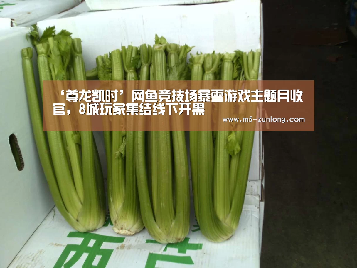 ‘尊龙凯时’网鱼竞技场暴雪游戏主题月收官,8城玩家集结线下开黑(图2) 尊龙凯时