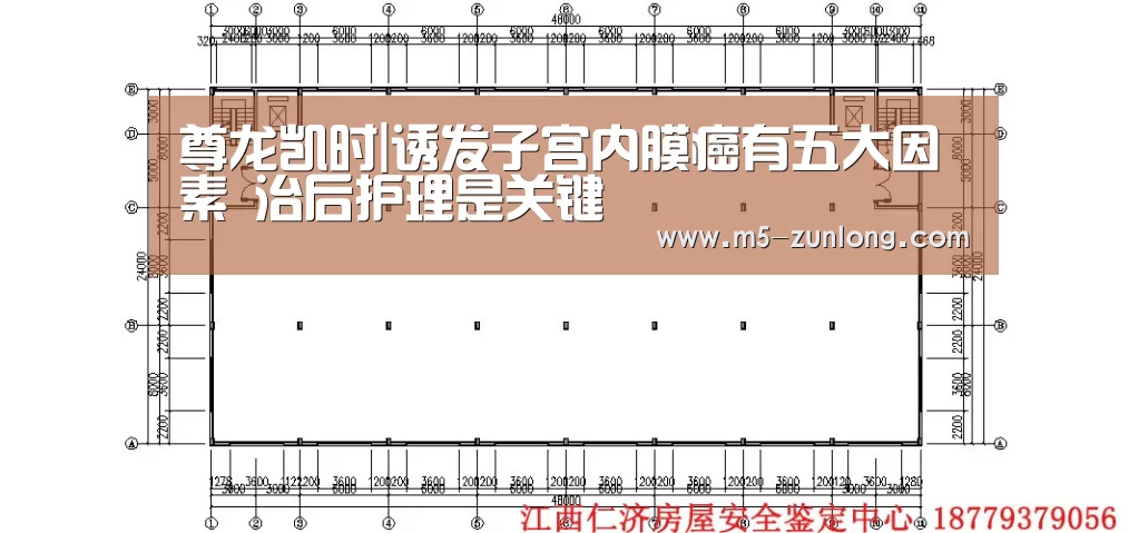 尊龙凯时|诱发子宫内膜癌有五大因素 治后护理是关键(图2) 尊龙凯时