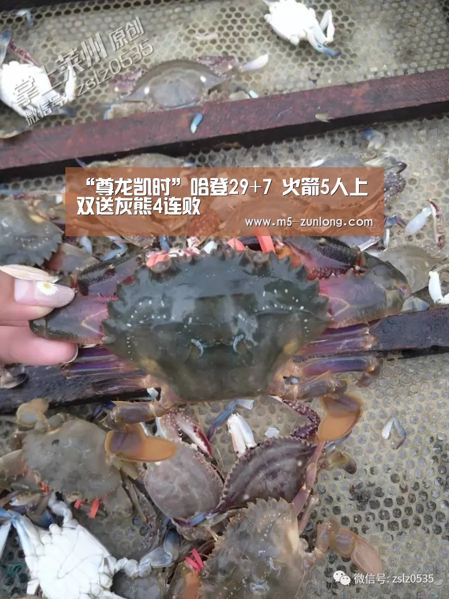 “尊龙凯时”哈登29+7 火箭5人上双送灰熊4连败(图4) 尊龙凯时
